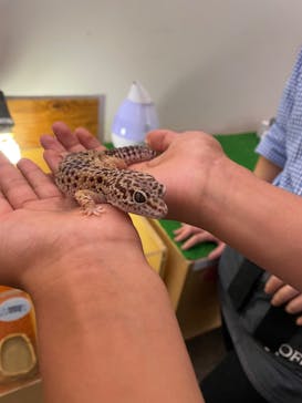 Moff アニマル カフェ イーアス 高尾店に投稿された画像（2022/9/24）