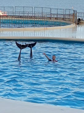 マリンワールド海の中道に投稿された画像（2022/9/24）