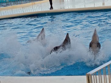 マリンワールド海の中道に投稿された画像（2022/9/24）