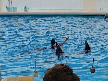 マリンワールド海の中道に投稿された画像（2022/9/24）