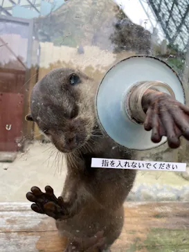 横浜・八景島シーパラダイスに投稿された画像（2022/9/24）