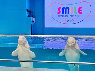 横浜・八景島シーパラダイスに投稿された画像（2022/9/24）