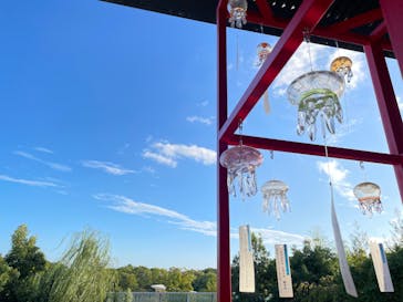 京都水族館に投稿された画像（2022/9/24）