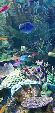 サンシャイン水族館に投稿された画像（2022/9/24）