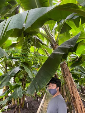 熱川バナナワニ園に投稿された画像（2022/9/24）