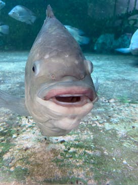 熱川バナナワニ園に投稿された画像（2022/9/24）