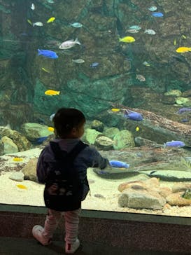 滋賀県立琵琶湖博物館に投稿された画像（2022/9/24）