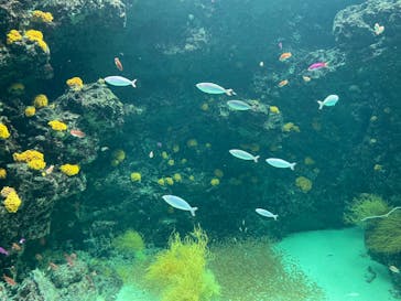 環境水族館アクアマリンふくしまに投稿された画像（2022/9/24）