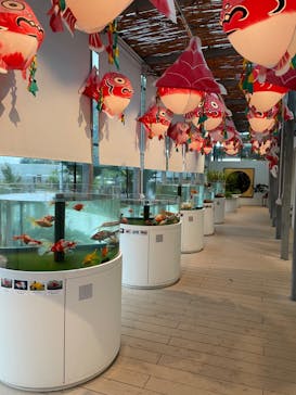 環境水族館アクアマリンふくしまに投稿された画像（2022/9/24）