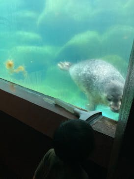 箱根園水族館に投稿された画像（2022/9/24）