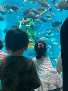 箱根園水族館に投稿された画像（2022/9/24）