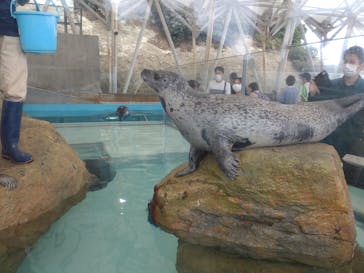 城崎マリンワールドに投稿された画像（2022/9/24）