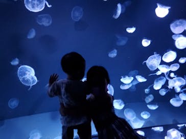 サンシャイン水族館に投稿された画像（2022/9/24）