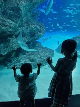 サンシャイン水族館に投稿された画像（2022/9/24）