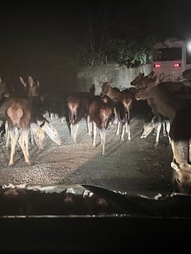 那須サファリパークに投稿された画像（2022/9/24）