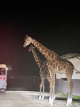 那須サファリパークに投稿された画像（2022/9/24）