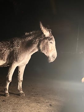 那須サファリパークに投稿された画像（2022/9/24）