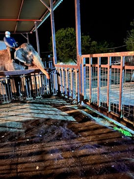 那須サファリパークに投稿された画像（2022/9/24）