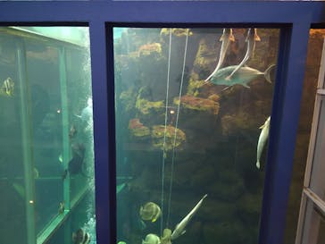 城崎マリンワールドに投稿された画像（2022/9/24）