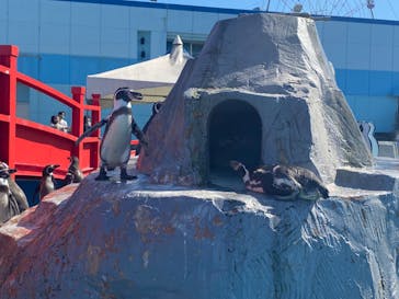 南知多ビーチランド＆南知多おもちゃ王国に投稿された画像（2022/9/24）