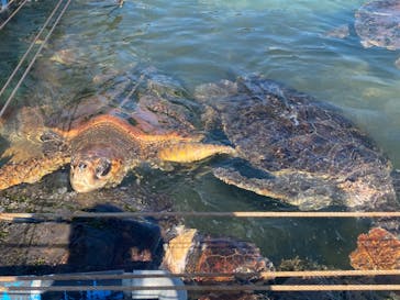 南知多ビーチランド＆南知多おもちゃ王国に投稿された画像（2022/9/24）