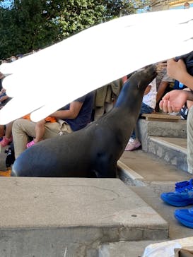 南知多ビーチランド＆南知多おもちゃ王国に投稿された画像（2022/9/24）