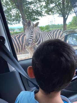 群馬サファリパークに投稿された画像（2020/8/14）