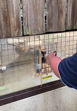 群馬サファリパークに投稿された画像（2020/8/14）