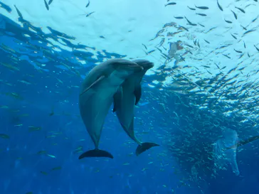横浜・八景島シーパラダイスに投稿された画像（2022/9/23）