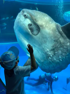 横浜・八景島シーパラダイスに投稿された画像（2022/9/23）