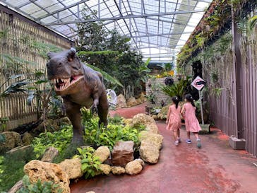 ナゴパイナップルパークに投稿された画像（2022/9/24）