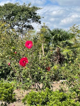 京阪電車に投稿された画像（2022/9/24）