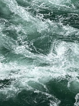 徳島県立 渦の道に投稿された画像（2022/9/24）