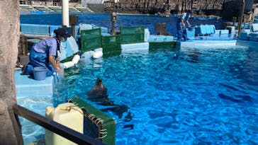 名古屋港水族館に投稿された画像（2022/9/24）