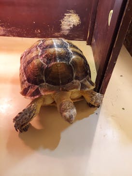 Moff animal cafe イオンモール幕張新都心店に投稿された画像（2022/9/24）