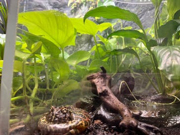 サンシャイン水族館に投稿された画像（2022/9/25）