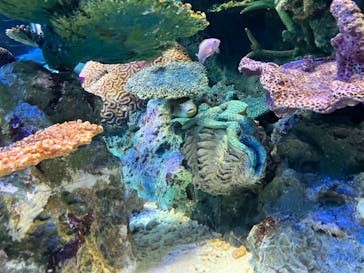 サンシャイン水族館に投稿された画像（2022/9/25）