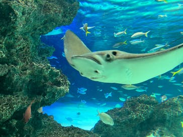 サンシャイン水族館に投稿された画像（2022/9/25）