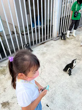 横浜・八景島シーパラダイスに投稿された画像（2022/9/25）