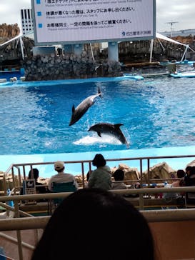 名古屋港水族館に投稿された画像（2022/9/25）