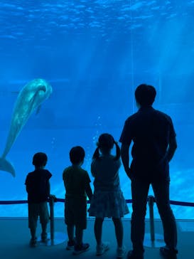 名古屋港水族館に投稿された画像（2022/9/25）