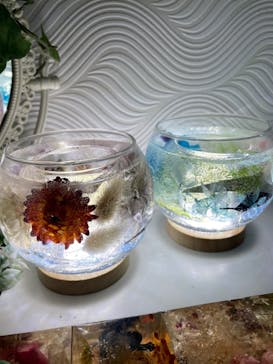 ずこうしつ〜sugamo〜に投稿された画像（2022/9/25）