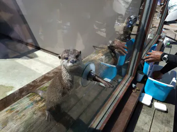 横浜・八景島シーパラダイスに投稿された画像（2022/9/25）