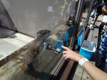 横浜・八景島シーパラダイスに投稿された画像（2022/9/25）