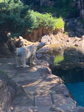 よこはま動物園ズーラシアに投稿された画像（2022/9/25）