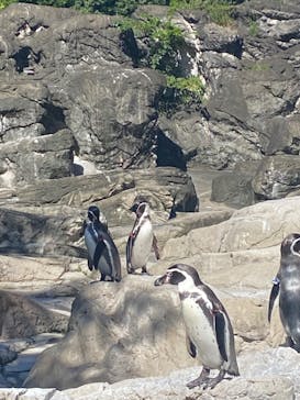 よこはま動物園ズーラシアに投稿された画像（2022/9/25）