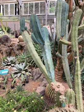 伊豆シャボテン動物公園に投稿された画像（2022/9/25）