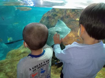 新江ノ島水族館に投稿された画像（2022/9/25）