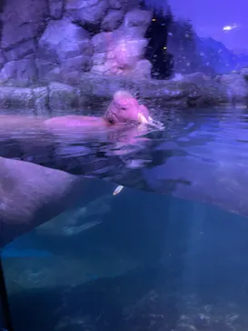 横浜・八景島シーパラダイスに投稿された画像（2022/9/25）