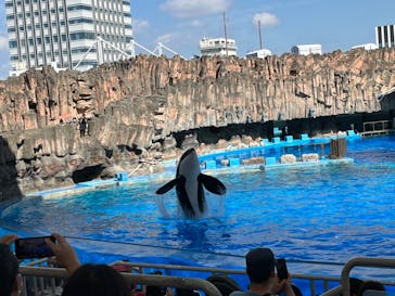 名古屋港水族館に投稿された画像（2022/9/25）